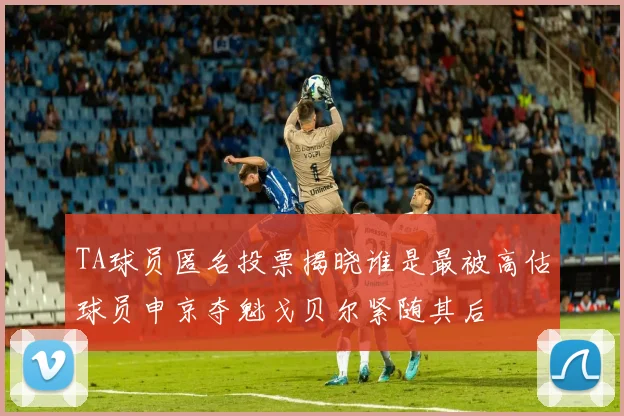 TA球员匿名投票揭晓谁是最被高估球员申京夺魁戈贝尔紧随其后