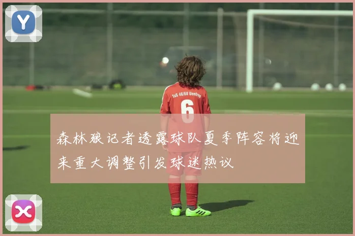 森林狼记者透露球队夏季阵容将迎来重大调整引发球迷热议