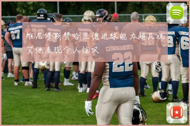 维尼修斯赞哈兰德进球能力超凡祝贺他表现令人惊叹